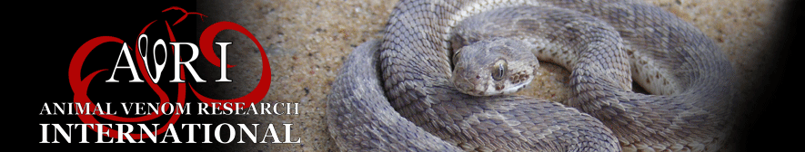 Saw-scaled viper banner