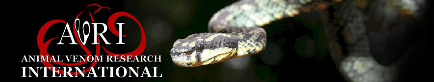 Green pit viper banner